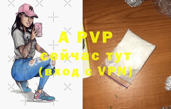 стаф Алексеевка