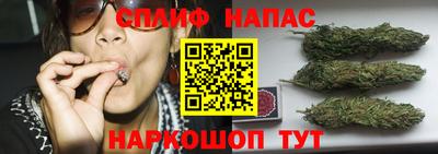 ПСИЛОЦИБИНОВЫЕ ГРИБЫ Усть-Джегута