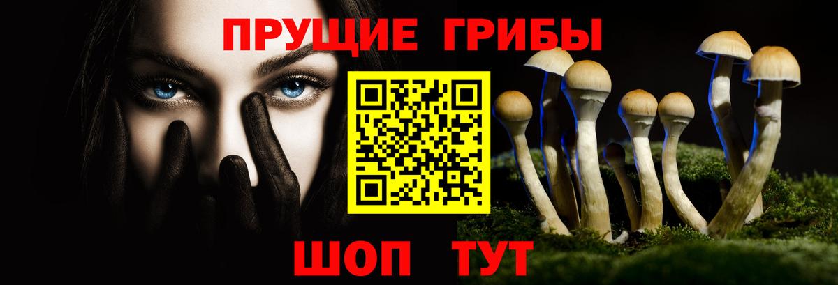 Апшеронск  Псилоцибиновые грибы мицелий  Вход с VPN  где можно купить наркотик  Псилоцибиновые грибы MAGIC MUSHROOMS 